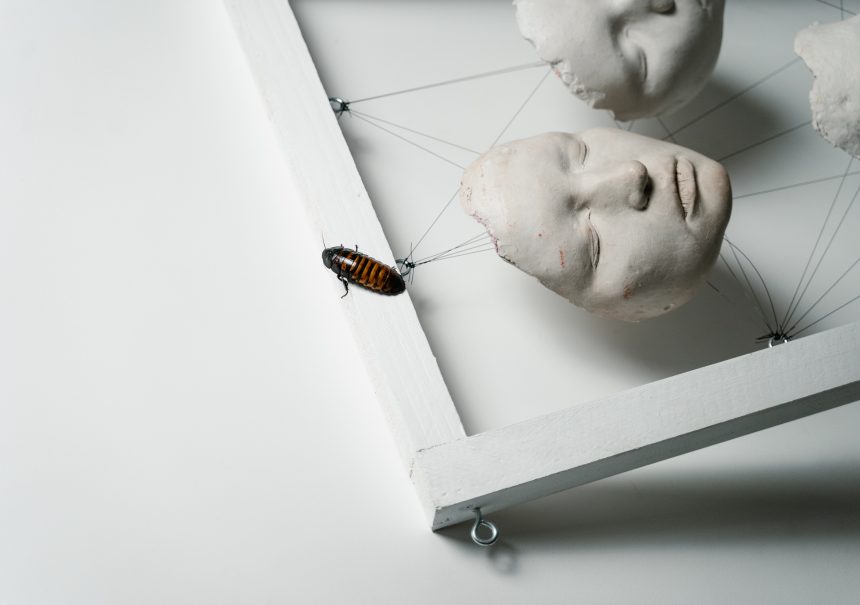 3D Baskı Sırt Çantası, Böcekleri Siborglara Dönüştürüyor