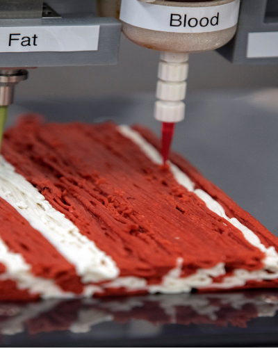 3D Yazıcıyla Et Üretimi Geleceğin Beslenmesi