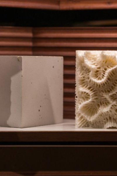 3D Yazıcı ile Mercanların Korunması