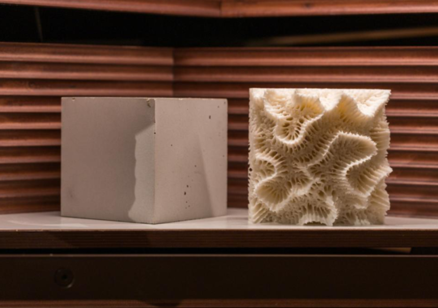 3D Yazıcı ile Mercanların Korunması