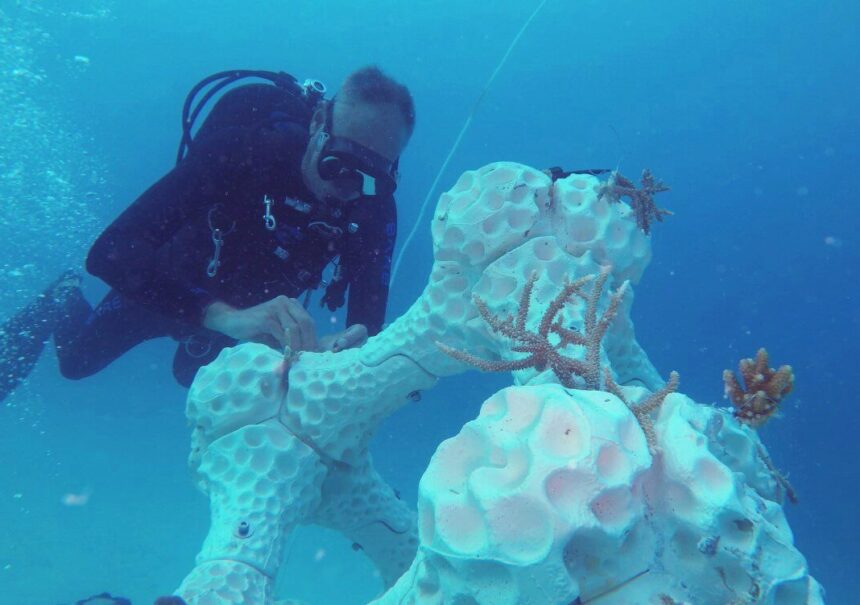 Dünya Çevre Günü: 3D Baskı, Gezegenimizin Kaynaklarını Korumaya Yardımcı Olabilir mi?