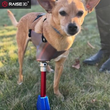 3D Baskı ile Hayat Değiştiren Çözümler: Bionic Pets, Engelli Hayvanlara Yeniden Hareket Özgürlüğü Kazandırıyor